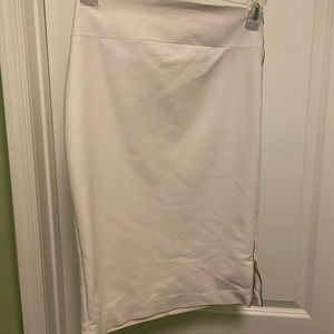 Express Dress Skirt with Side Zipper Detail